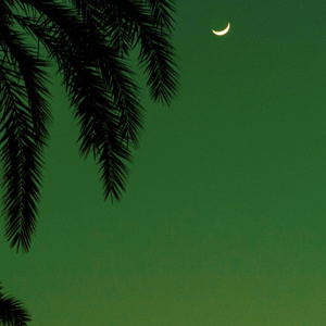 黑鬼多人Fuck刘玥
